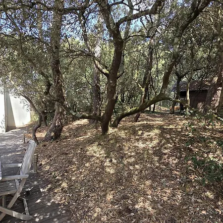 بيت للعطل Maison Spacieuse Proche - 8 Pers. - Fr-1-194-470 لا ترانش سور مير